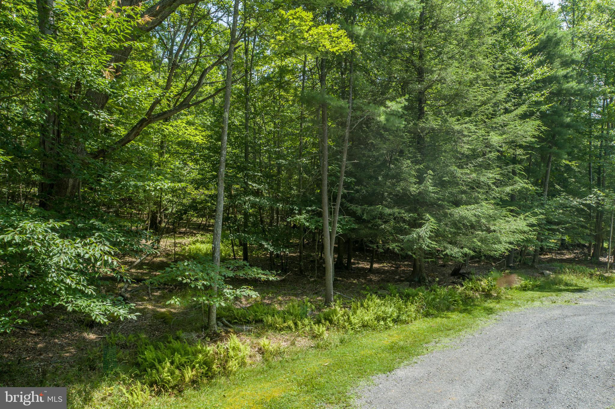 GALLATIN WOODS - Land