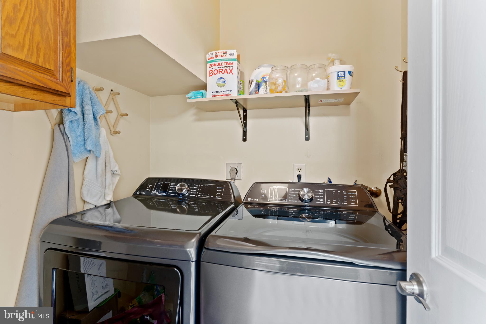 VILLAGE OF MORELAND - Residential