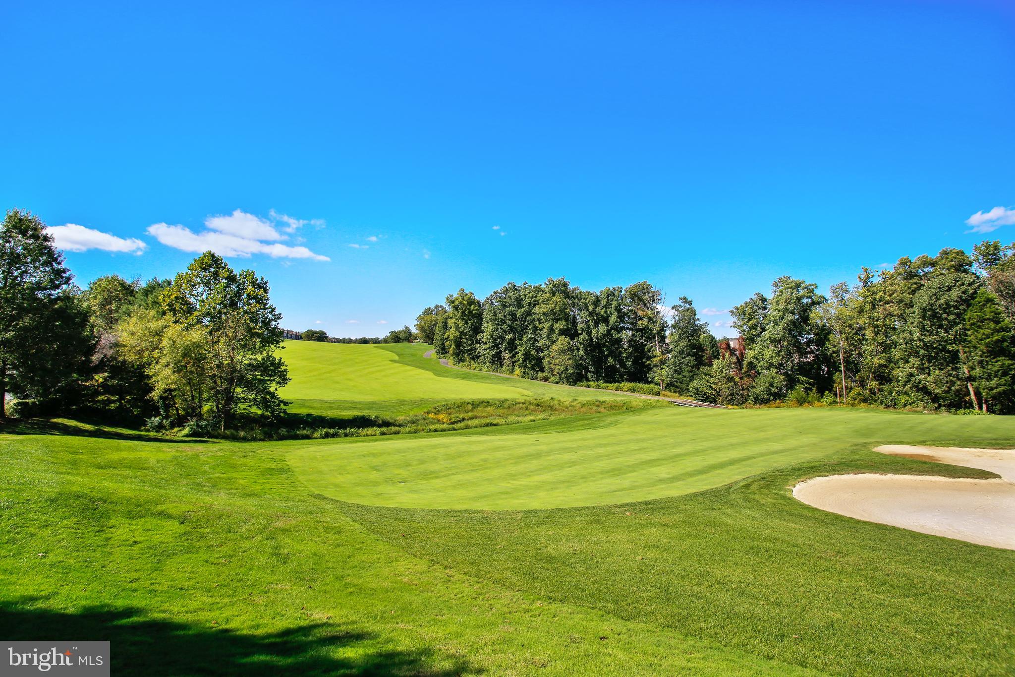RIDGES AT BELMONT - Residential