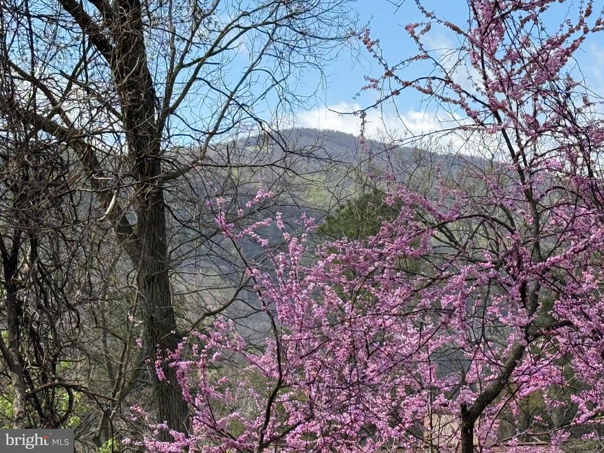 Potential Mountain Views!!!!   Bring Your House Plans We Have Builders To Build Your Dream Home! Over 1 Acre Offering Mountain Views Minutes To I-66 Perfect For Commuters! You Will Love The Community Amenities, Lake Access, Picnic Area, Tot Lot, Basketball & Tennis. Enjoy Hiking, Wineries, Golf, Restaurants & Close To Town Of Front Royal. No Perc Work has been completed.