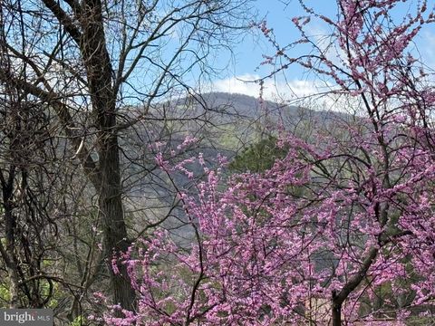 Lot 13 JONATHAN ROAD LINDEN VA 22642