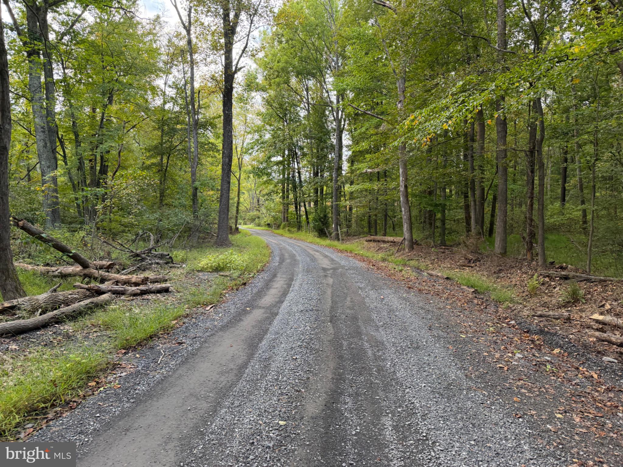 SMITH RUN