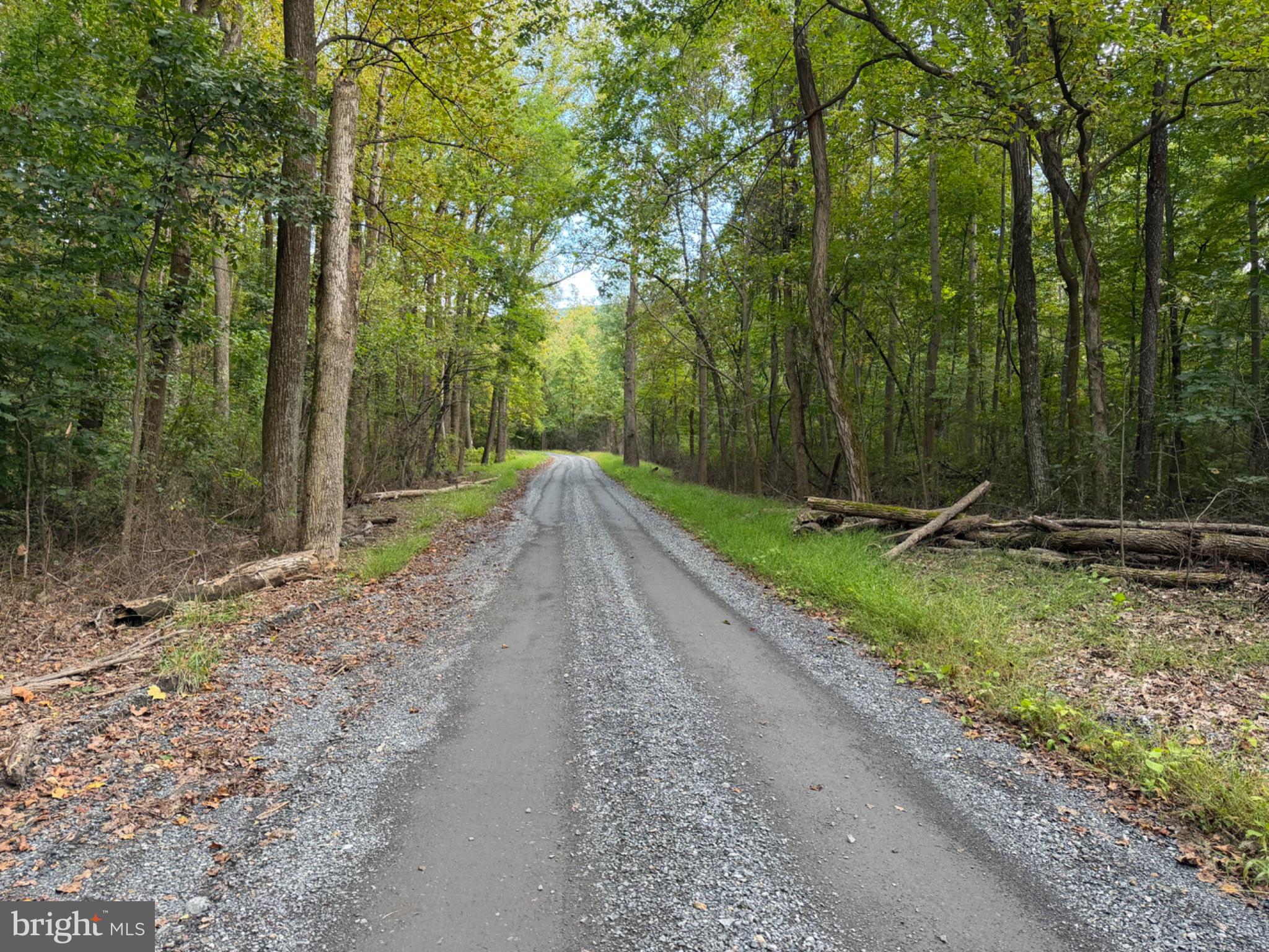 SMITH RUN
