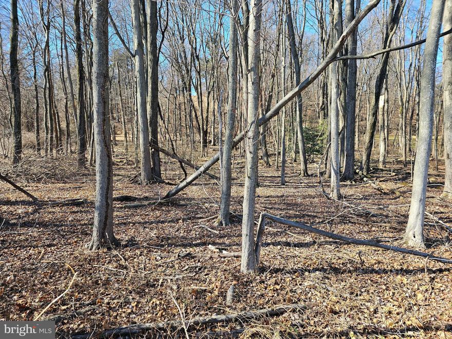 Lots No. 2 & 3 are for sale!  Selling together, with Lot No. 3, for a total of $50,000. This is a raw land purchase - no utilities are currently in place - public sewer available by connecting under the road on the other side - well can be dug. Please confirm this and any building details with Newberry Township. Bring your builder! These wooded lots are located between 315 & 335 Cly Road, between Whisler & Midway Roads. Look for the agent sign. Walk lots with caution.