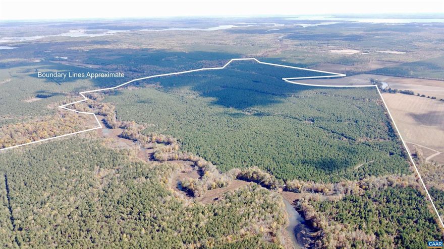 Do not pass on this rare opportunity to own a large acreage property with approximately 888 acres located in Charles City, Virginia. This large loblolly pine plantation would be a great investment or recreational property with endless potential. The property is covered in dirt roads that make navigating easy. There is also a large creek (Morris Creek) that flows through the middle of the property with a crossing already installed. This makes a great property for outdoor enthusiasts with endless amounts of wild game. It would be a great place to hunt waterfowl with the creek and large marshy area. After a controlled burn, this property would also have potential for an upland game hunting preserve. Don't miss out on the endless amounts of whitetail deer as well! The James River is located only 2.5 miles away. The property is only 20 minutes from I-64. It is situated in a perfect area for seclusion from the city but not too far to commute, only 40 minutes to Richmond and approximately 20 minutes to Williamsburg! This makes a great property to build your dream home on almost 900 acres with an easy commute. The property has been partially thinned in two areas, shown in pictures. Access is by 20 ft easement on Farmers Rest Rd.,Farmington Tract  Avery Tract  Oak Swamp