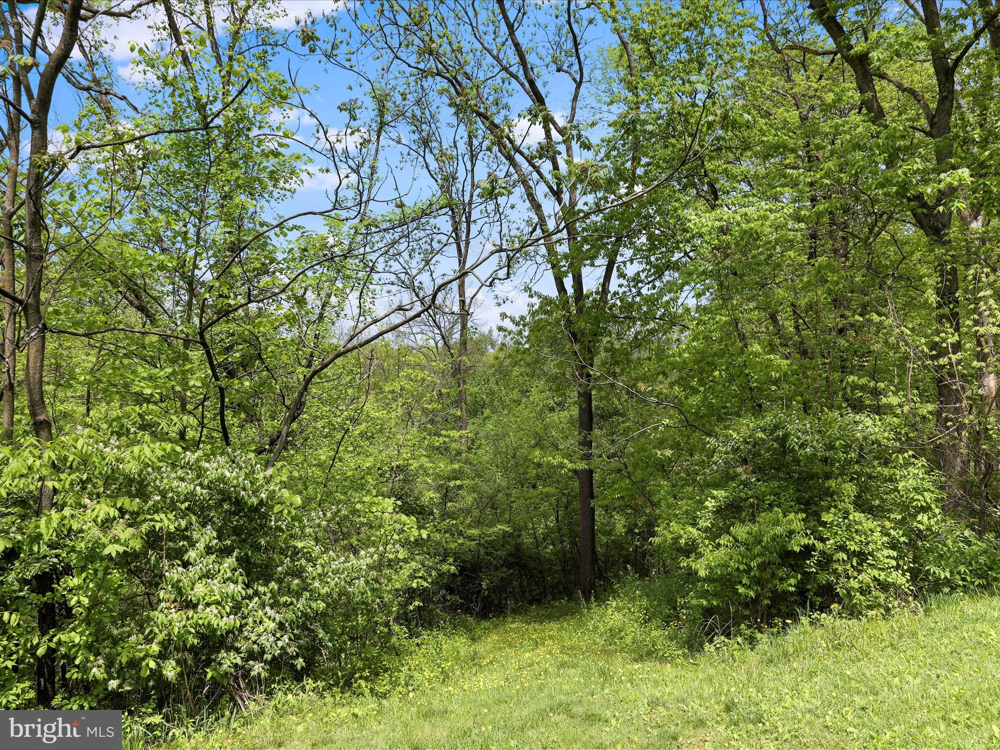 Chambersburg, Pennsylvania 17202, United States, 3 Bedrooms Bedrooms, ,2 BathroomsBathrooms,Residential,Active,136463