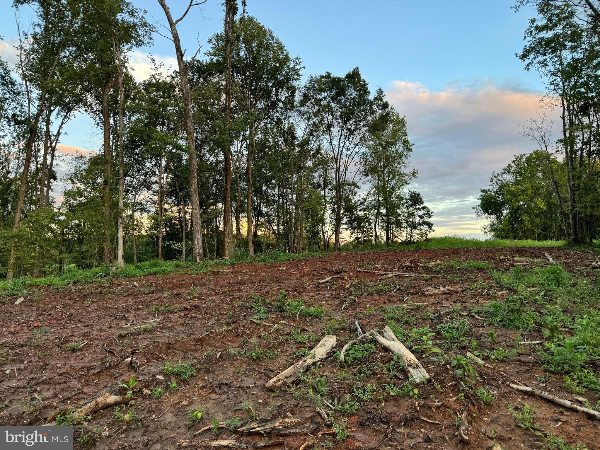 MOUNTAIN VIEW - Land