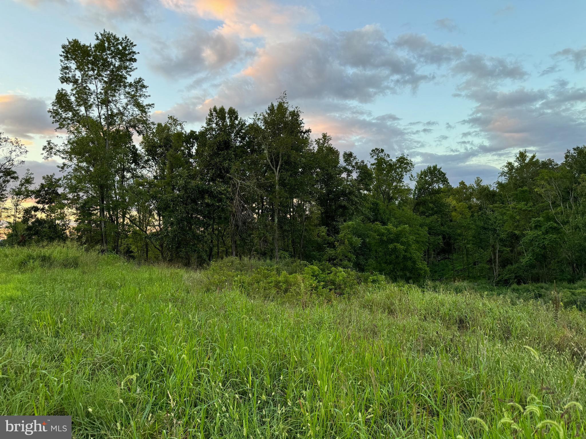 MOUNTAIN VIEW - Land