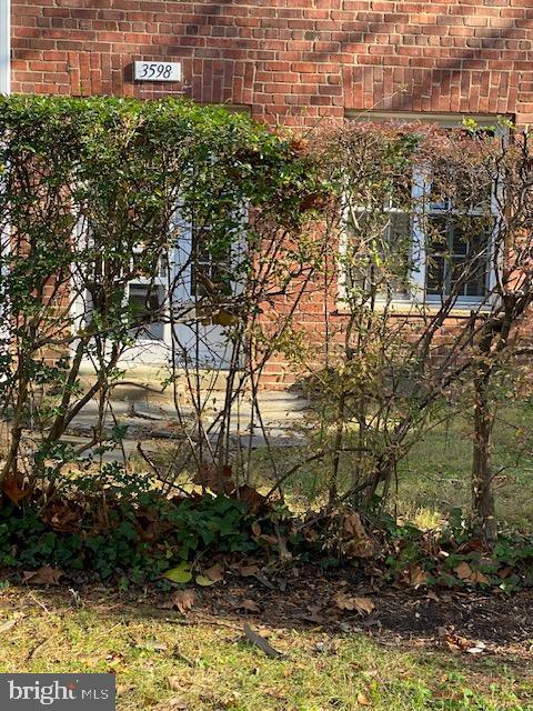 3598 MARTHA CUSTIS DRIVE