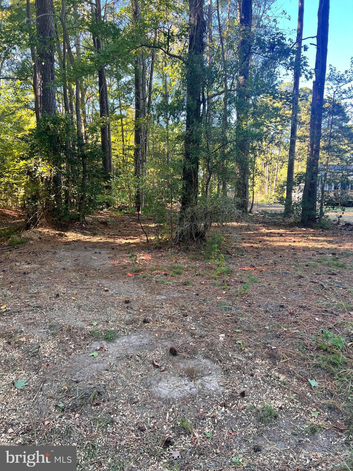 CABIN POINT / GLEBE HARBOR - Land