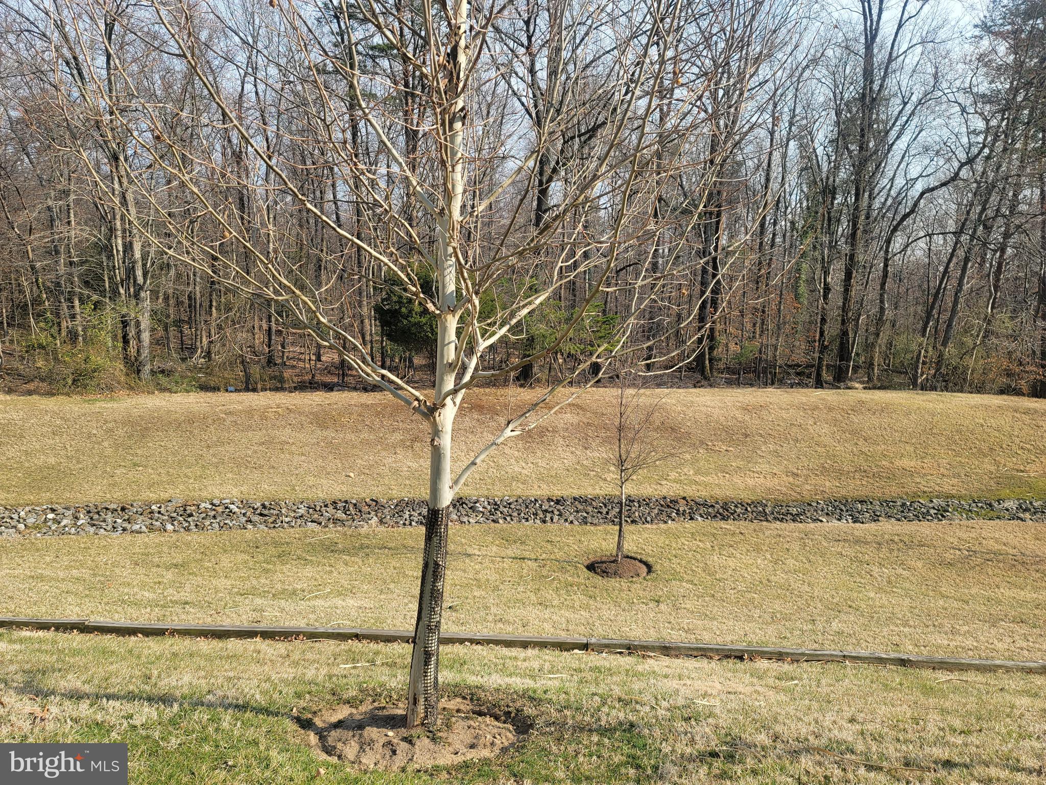 ASPEN FOREST - Residential
