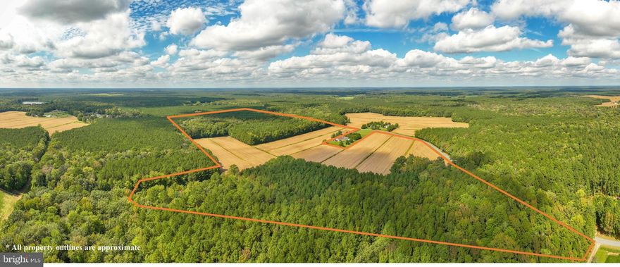 This listing is for 1 ag parcel for a total of 109.47 acres.  This parcel of The Riley-Quinton farm spans 109.47 acres zoned A-1 Agricultural in Wicomico County and all acreage lies on the south side of Bob Smith Rd. There are approximately 20 tillable acres and remainder is wooded. There are currently no structures on the properties. The tillable acreage is under a verbal agreement and ownership receives a timber report every year. The extensive and efficient drainage system limits overly watered soils for strong crop growth. The acreage fronts on Bob Smith Rd in Parsonsburg, about half way between Route 50 and the DE state line in Wicomico County. There are no conservation easements or restrictions in place providing a new owner with total flexibility. The timber is approximately 30 years old with a maintenance program in place. With significant deer sign, this property presents an amazing opportunity for both hunters and farmers.