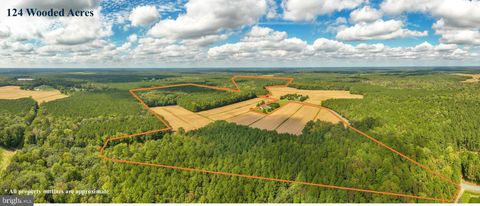 0 BOB SMITH ROAD PARSONSBURG MD 21849