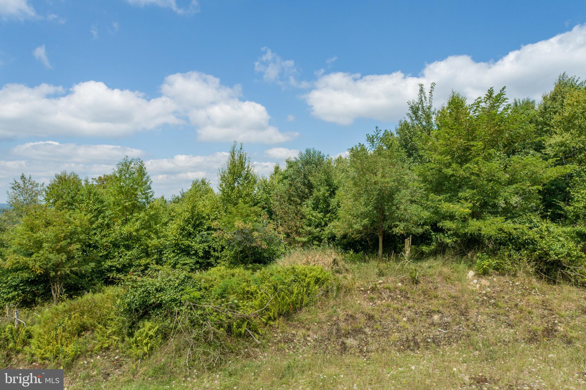 22 WOODLANDS HILL LANE