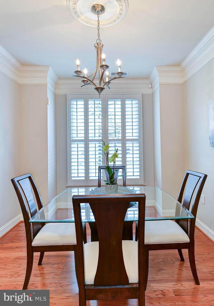 DUKE CONDOMINIUM - Residential