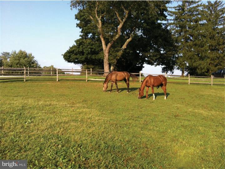 RADNOR HUNT - Residential