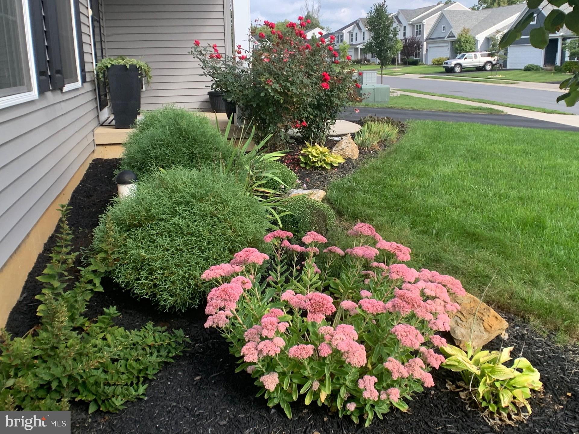 AMBERLEIGH - Residential