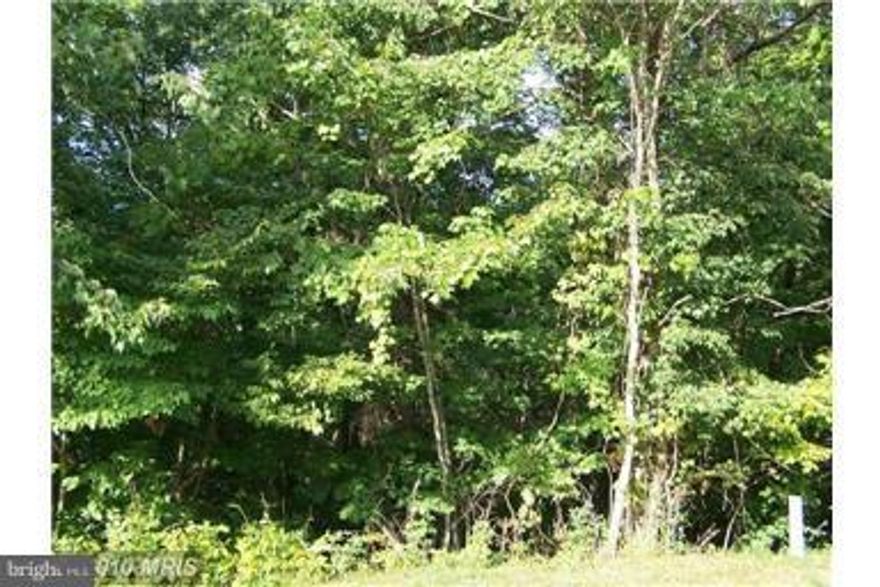 Great building lots located in Bryce Resort in Basye, VA. banked owned and priced to sell. Enjoy all the amenities that Bryce Resort offers just minutes away, golfing, skiing, snow boarding, are just to name a few. Underground utilities, Excellent location!