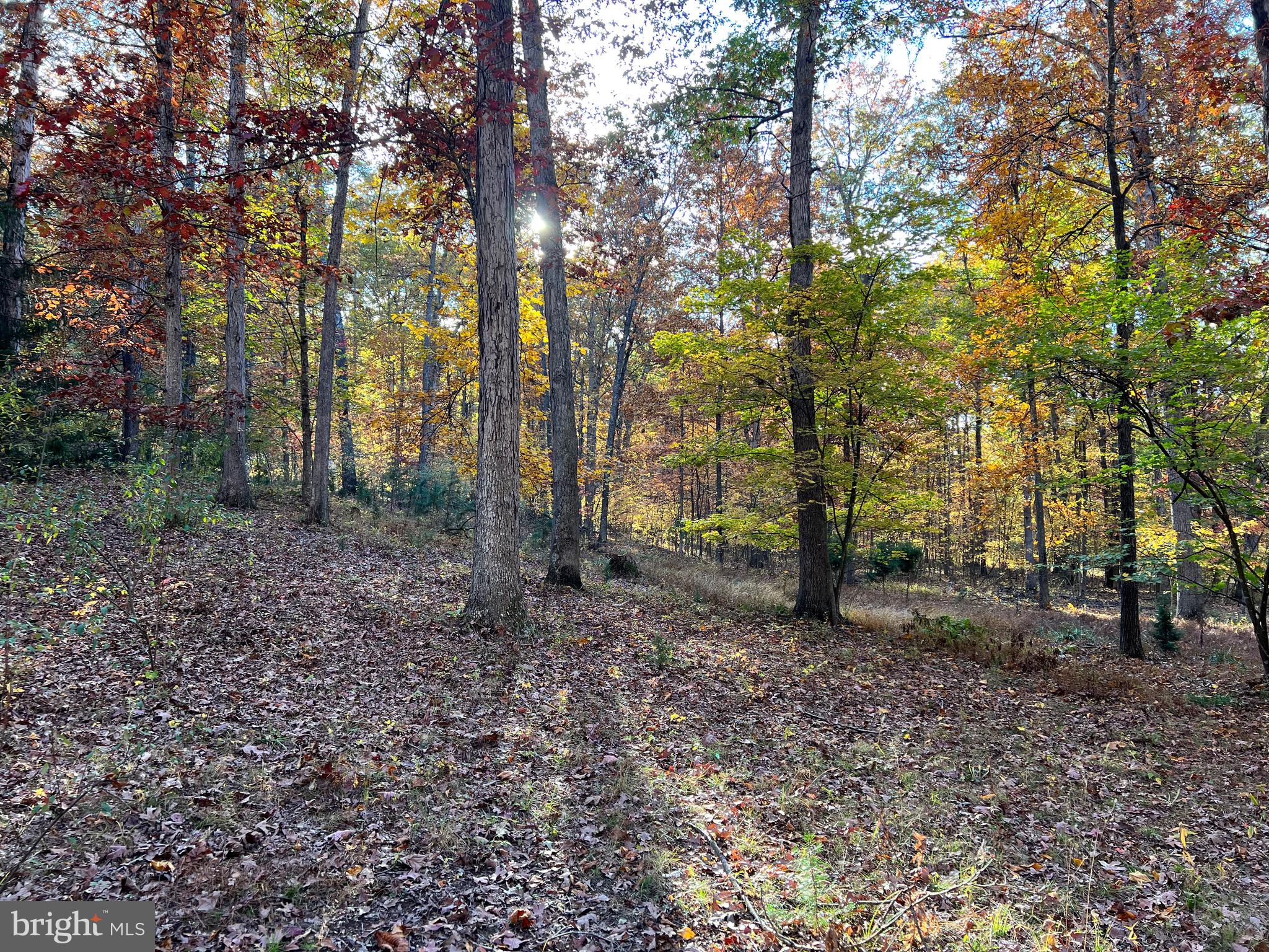 SOUTH POTOMAC TROUGH FARM II - Residential