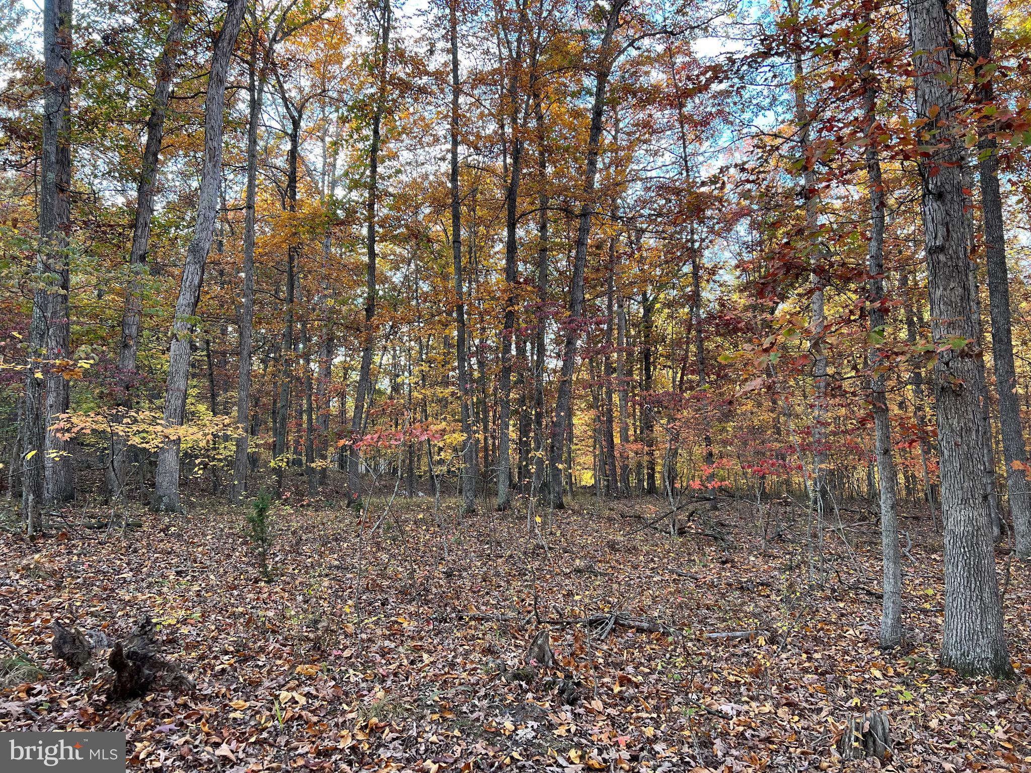 SOUTH POTOMAC TROUGH FARM II - Residential