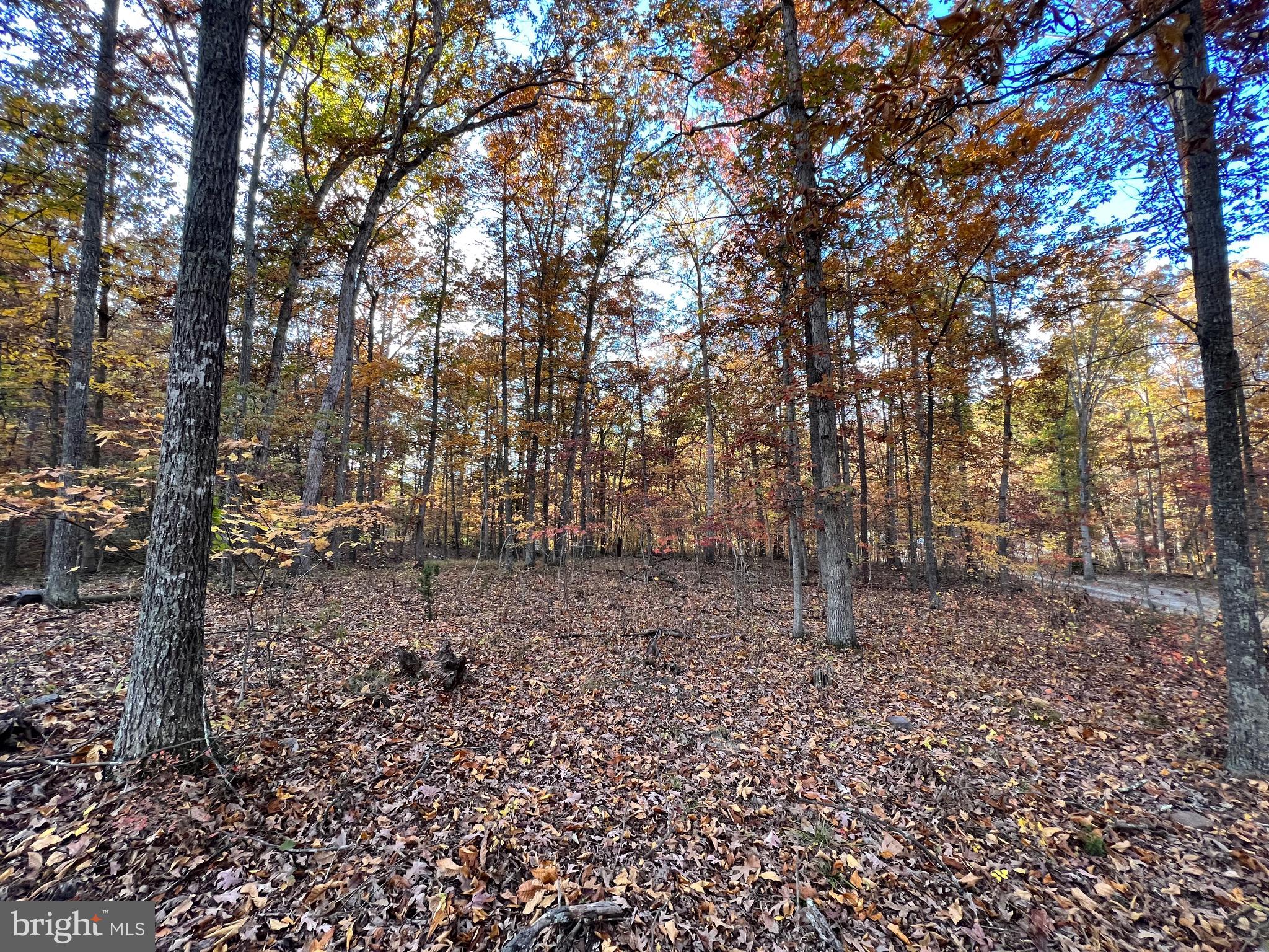 SOUTH POTOMAC TROUGH FARM II - Residential