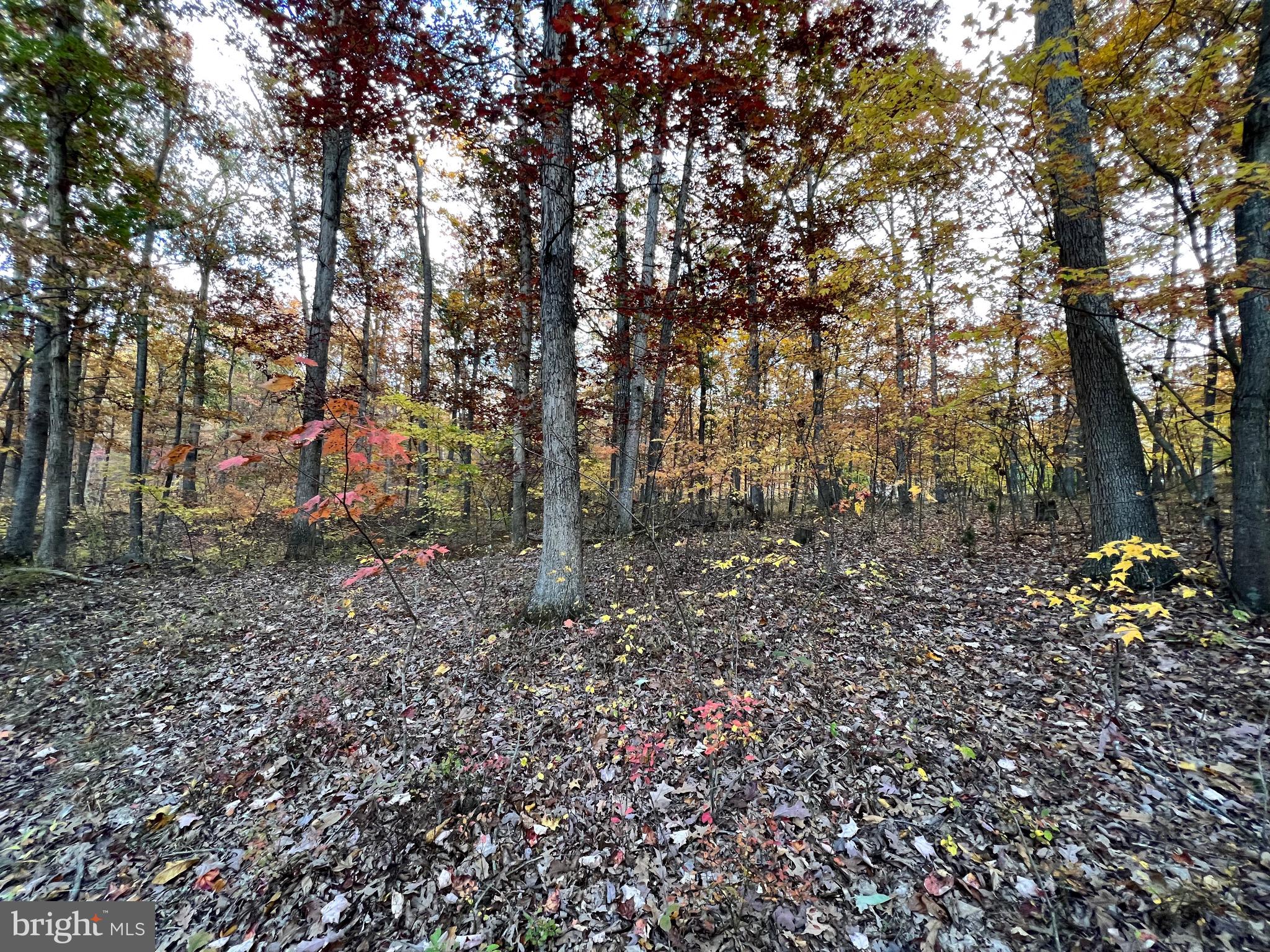 SOUTH POTOMAC TROUGH FARM II - Residential