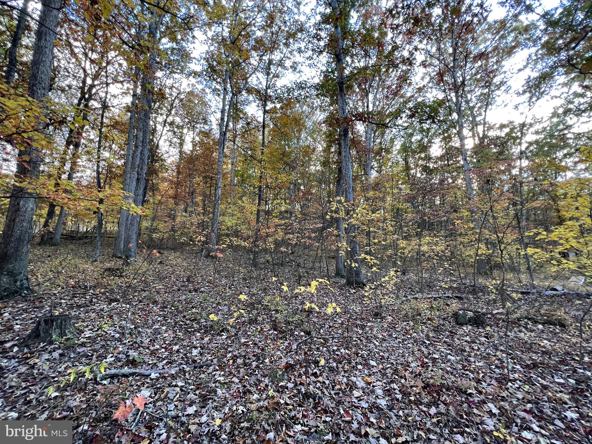 SOUTH POTOMAC TROUGH FARM II - Residential