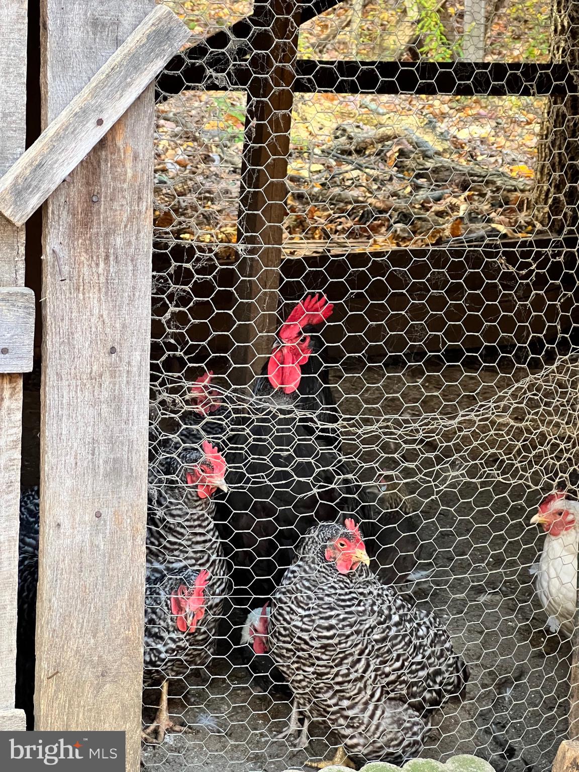 SOUTH POTOMAC TROUGH FARM II - Residential