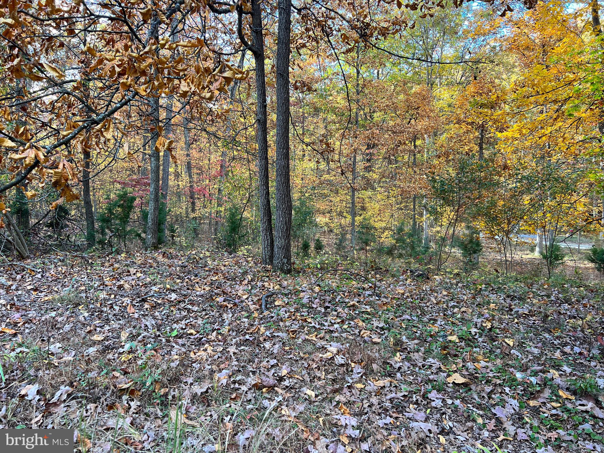 SOUTH POTOMAC TROUGH FARM II - Residential