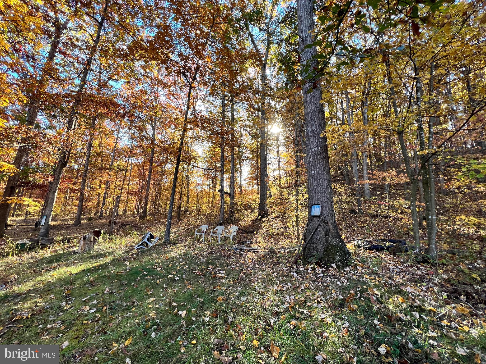 SOUTH POTOMAC TROUGH FARM II - Residential