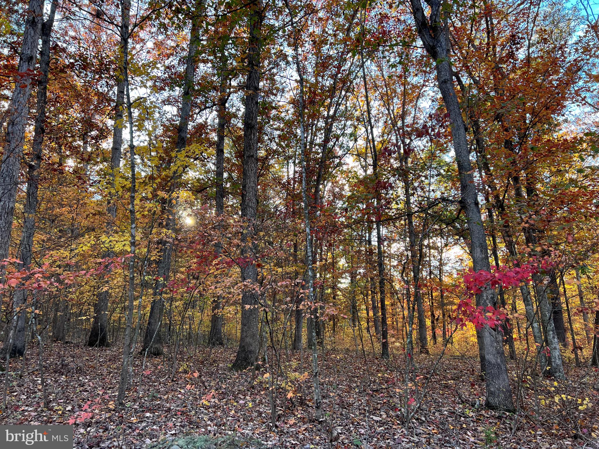 SOUTH POTOMAC TROUGH FARM II - Residential