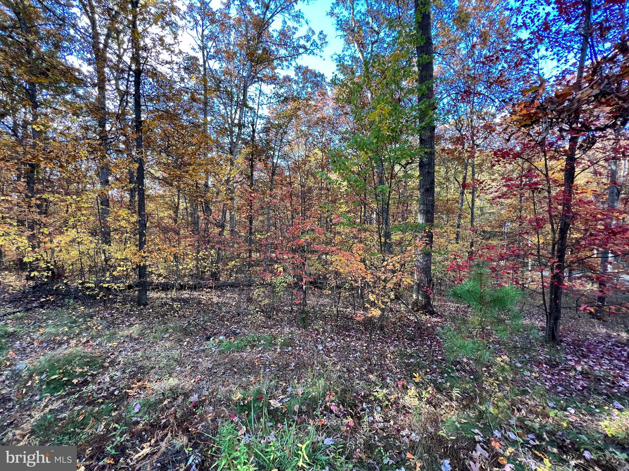 SOUTH POTOMAC TROUGH FARM II - Residential
