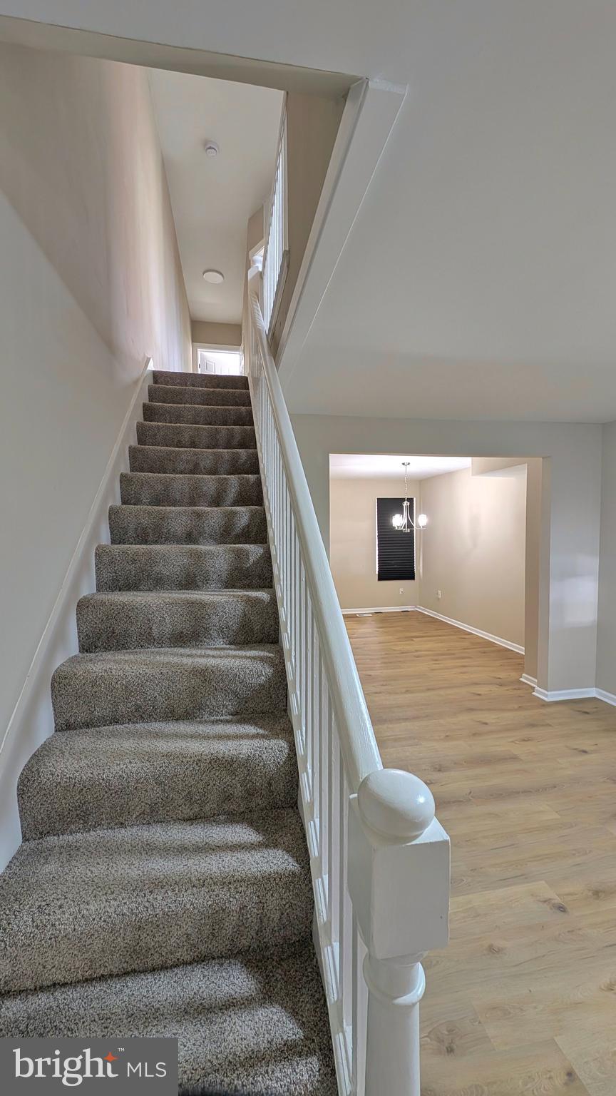 BELAIR-EDISON - Residential Lease