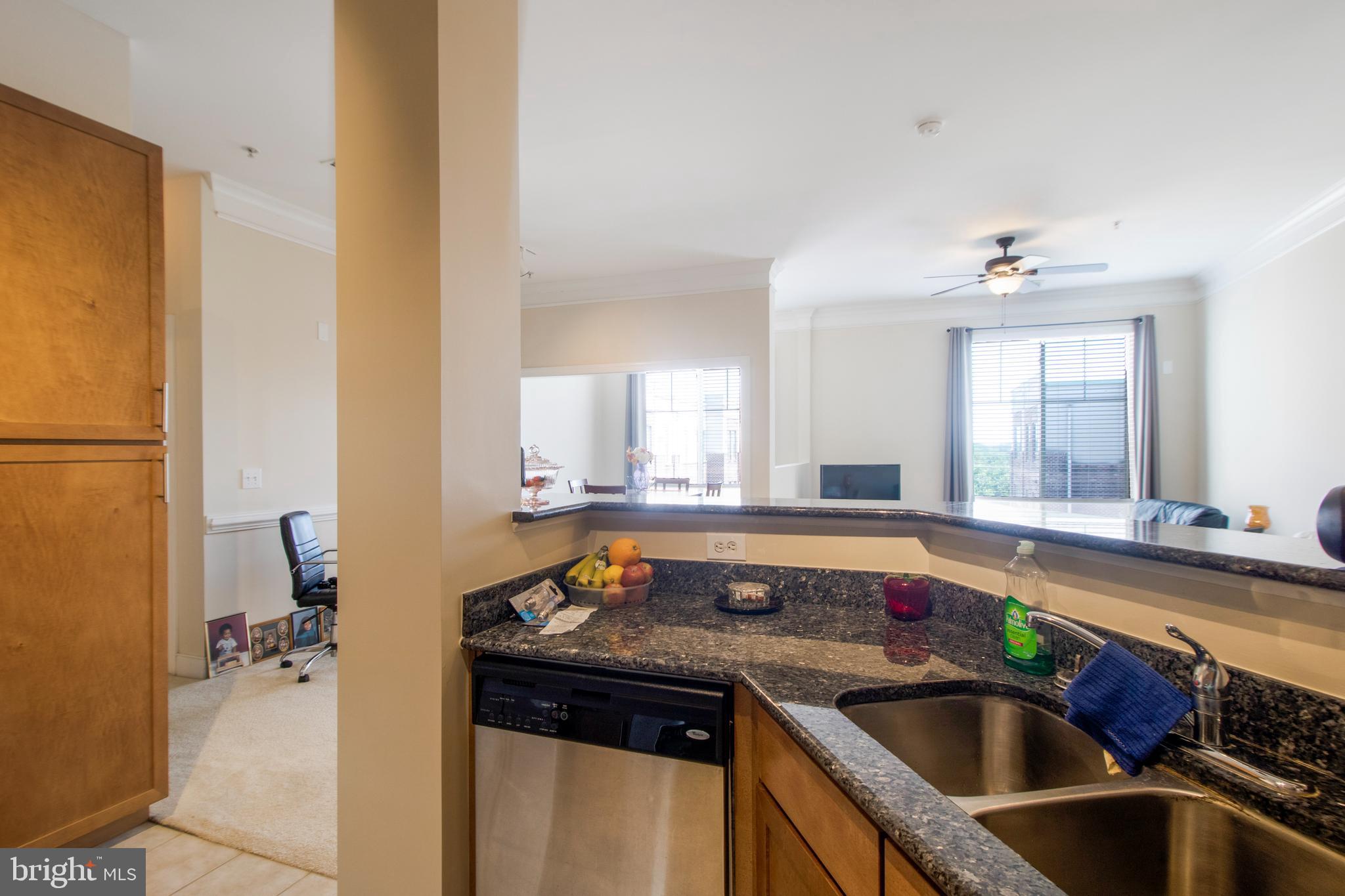 TRIBECA AT CAMP SPRINGS - Residential