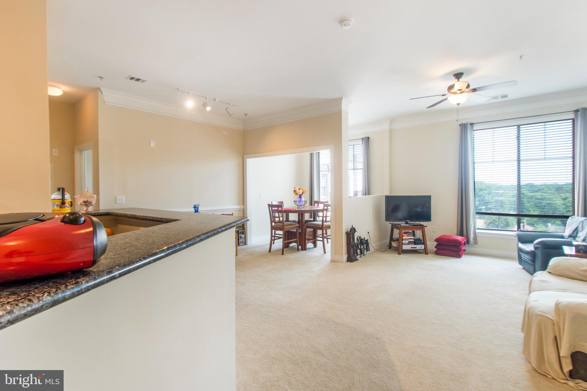 TRIBECA AT CAMP SPRINGS - Residential