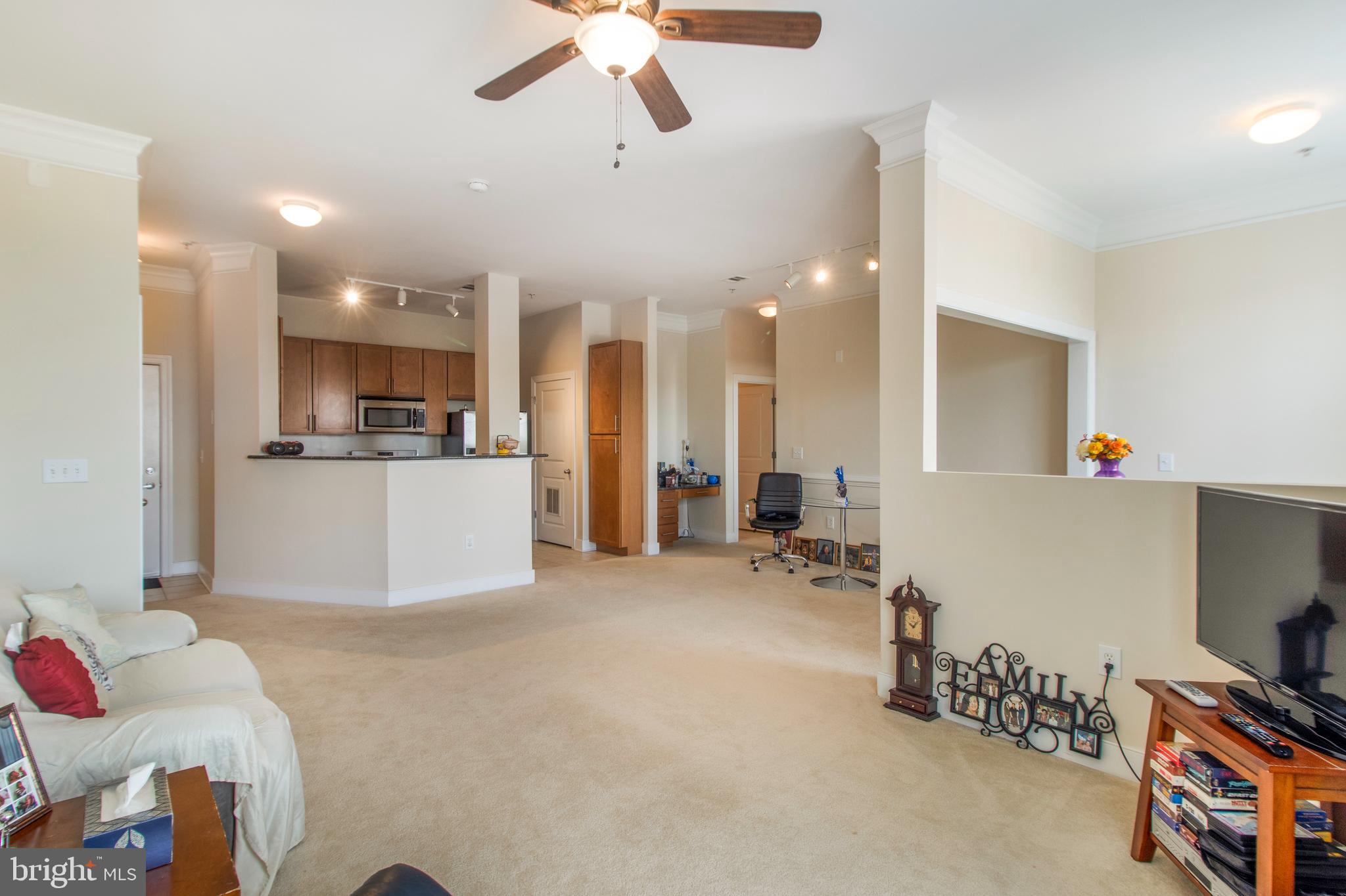 TRIBECA AT CAMP SPRINGS - Residential