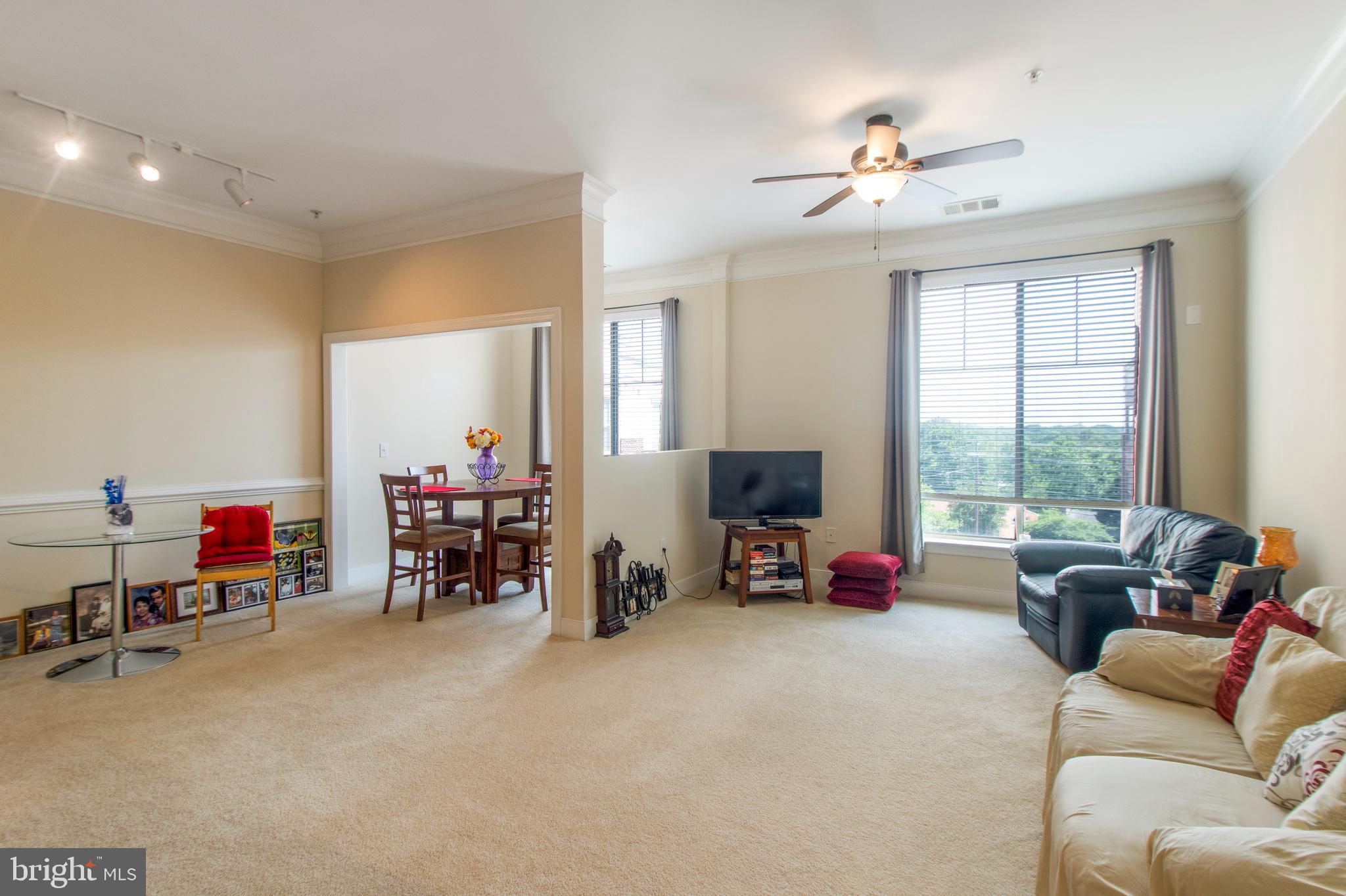 TRIBECA AT CAMP SPRINGS - Residential