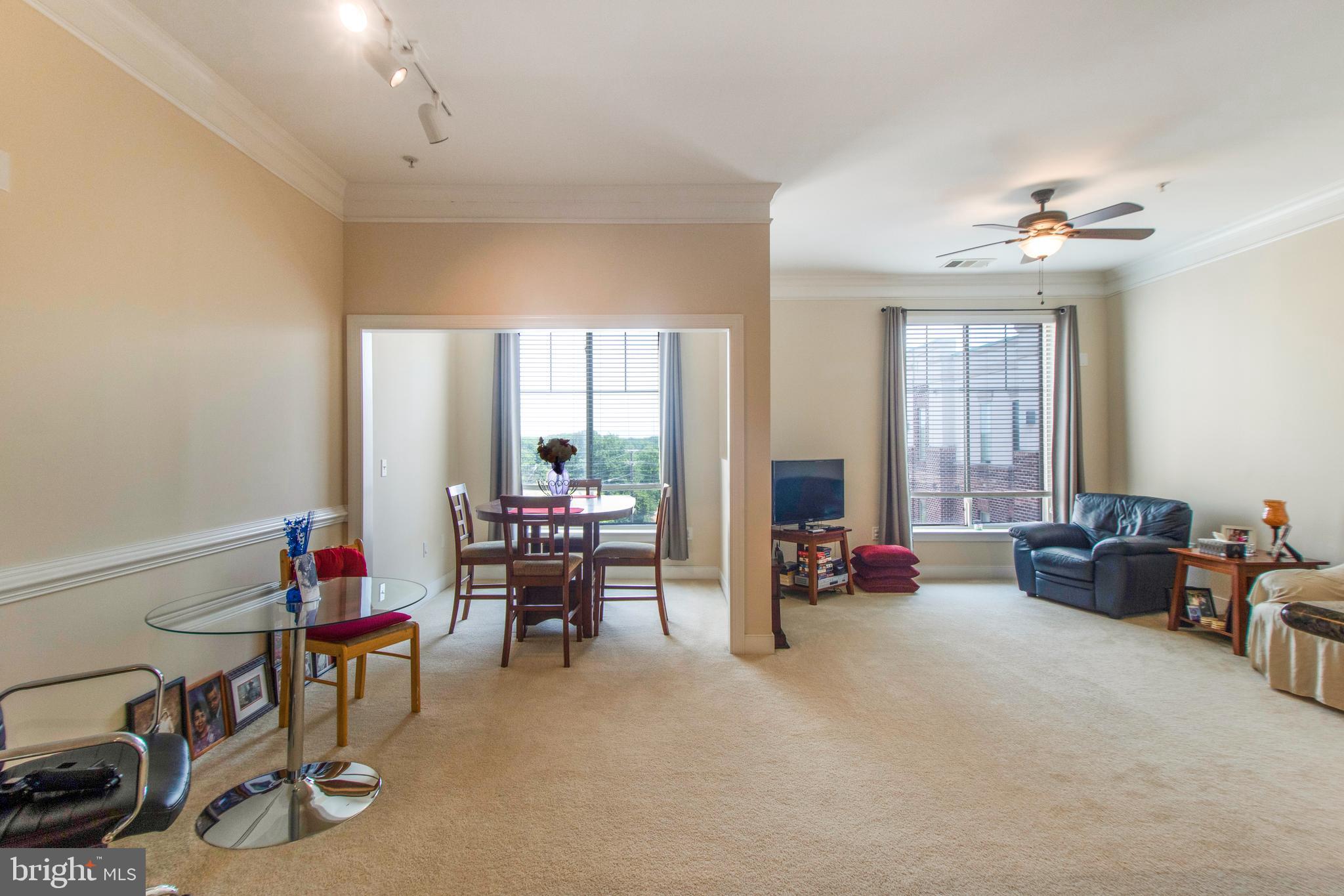 TRIBECA AT CAMP SPRINGS - Residential