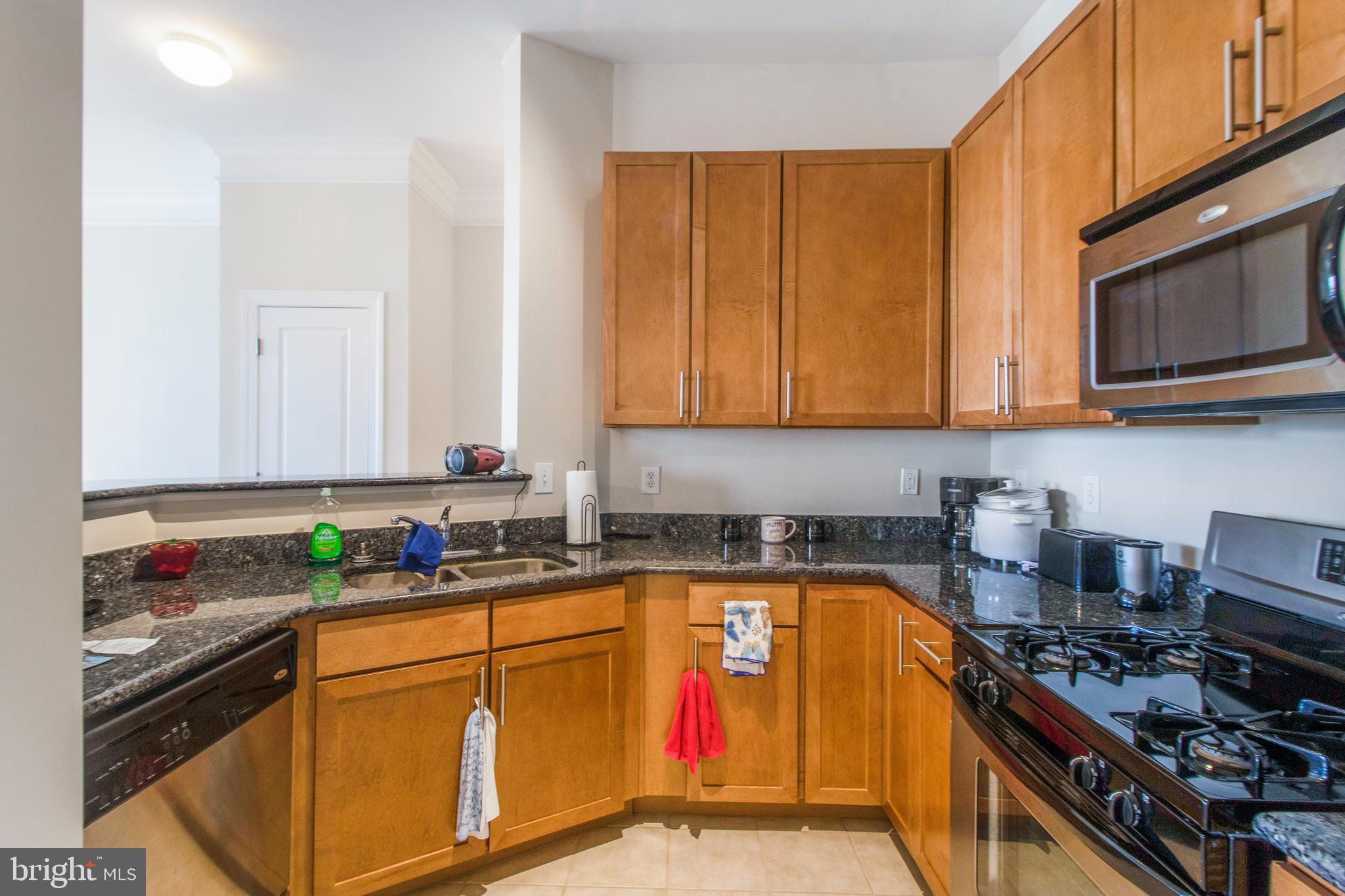 TRIBECA AT CAMP SPRINGS - Residential