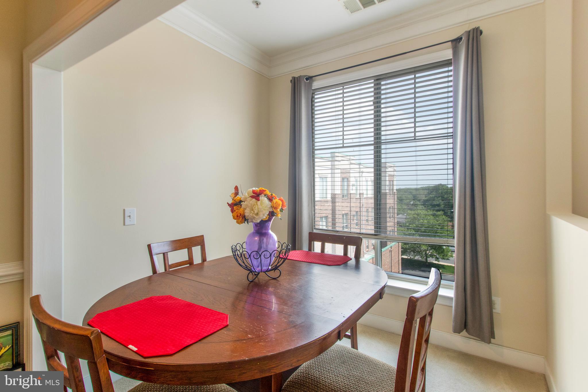 TRIBECA AT CAMP SPRINGS - Residential