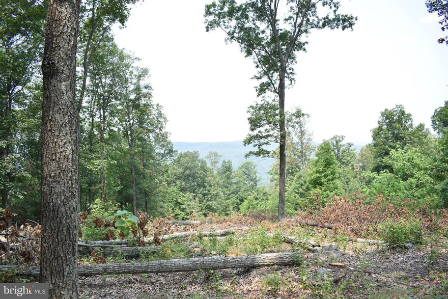 Beautiful 17.5-acre unrestricted lot has partially cleared space ready to build on! Gorgeous mountain views with plenty of wooded privacy. Level and gentle sloping areas. Usuable acreage with these views is hard to come by! No HOA! Potential for subdivision. Plat available. Perc pending. Electric available. Less than 5 minutes to paved roads.  Enjoy river recreation on nearby Cacapon River. Thirty minutes to Winchester and Capon Bridge. Under an hour to Historic Berkeley Springs and Cumberland MD. Just over 2 hours to DC! Sign on property. Must be accompanied by agent. Must have appointment to tour.