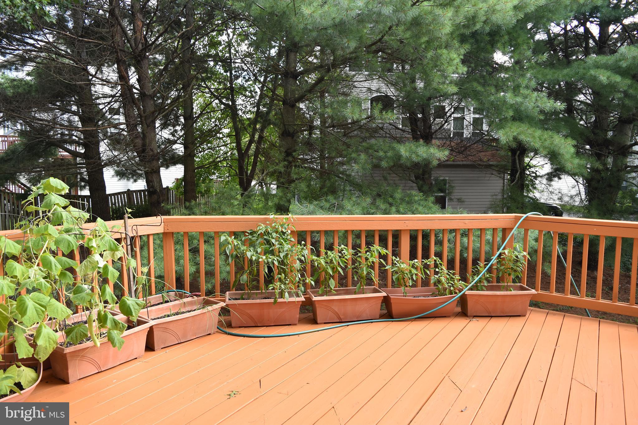 ARMISTEAD PARK - Residential Lease