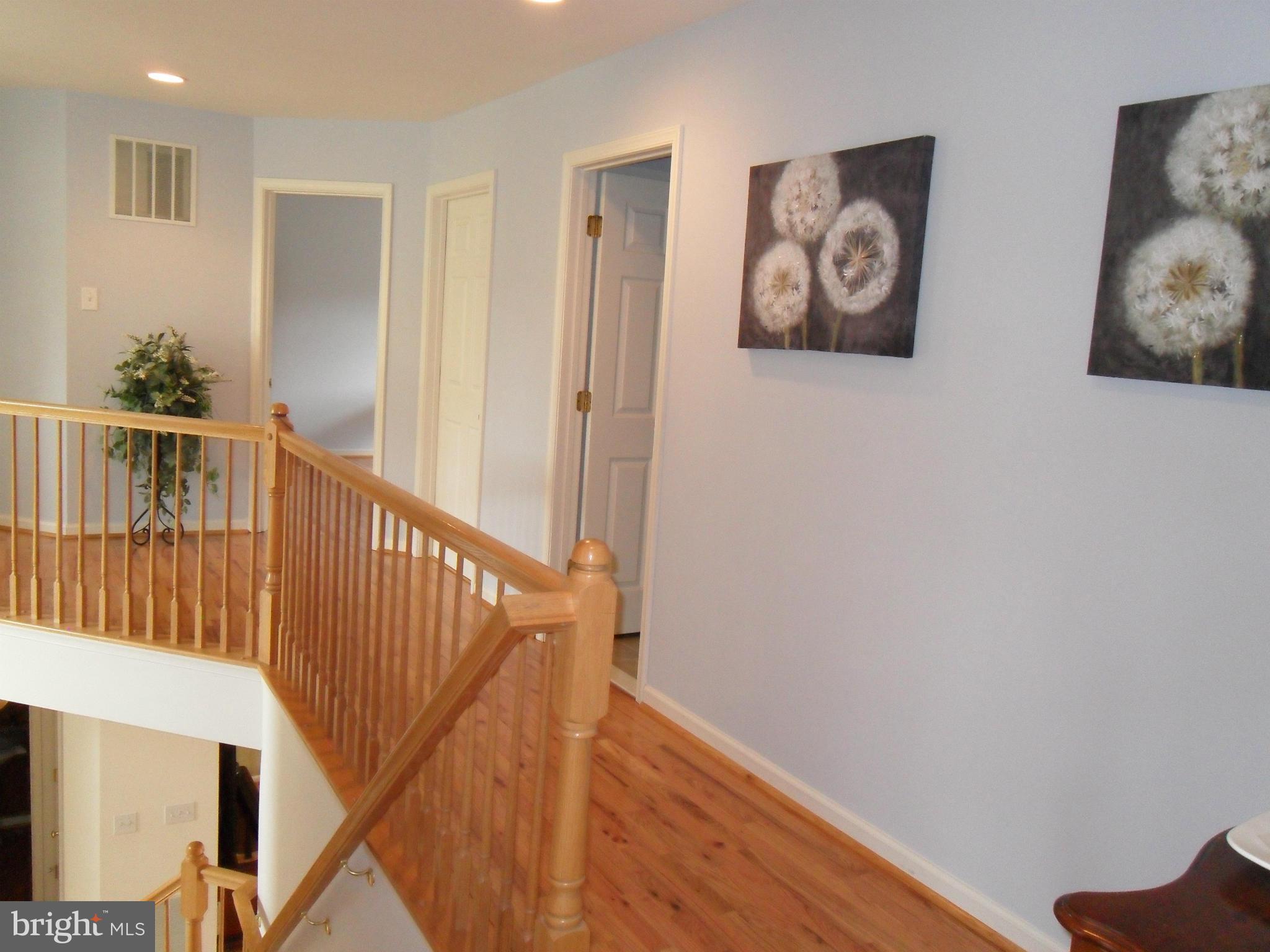 DANIEL'S MILL OVERLOOK - Residential