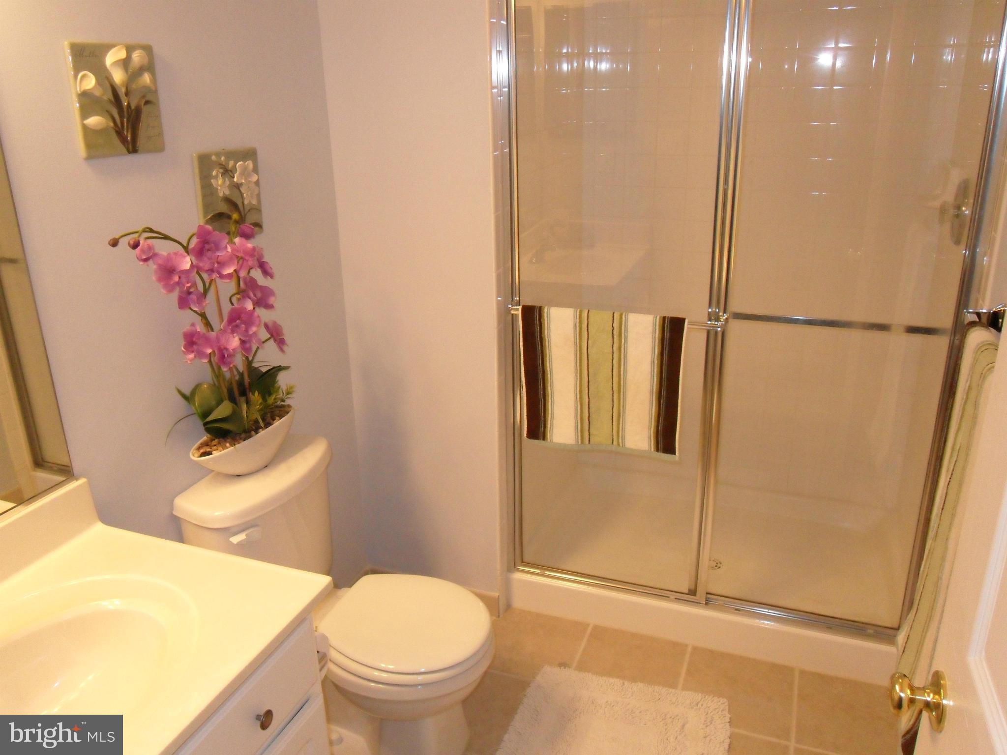 DANIEL'S MILL OVERLOOK - Residential