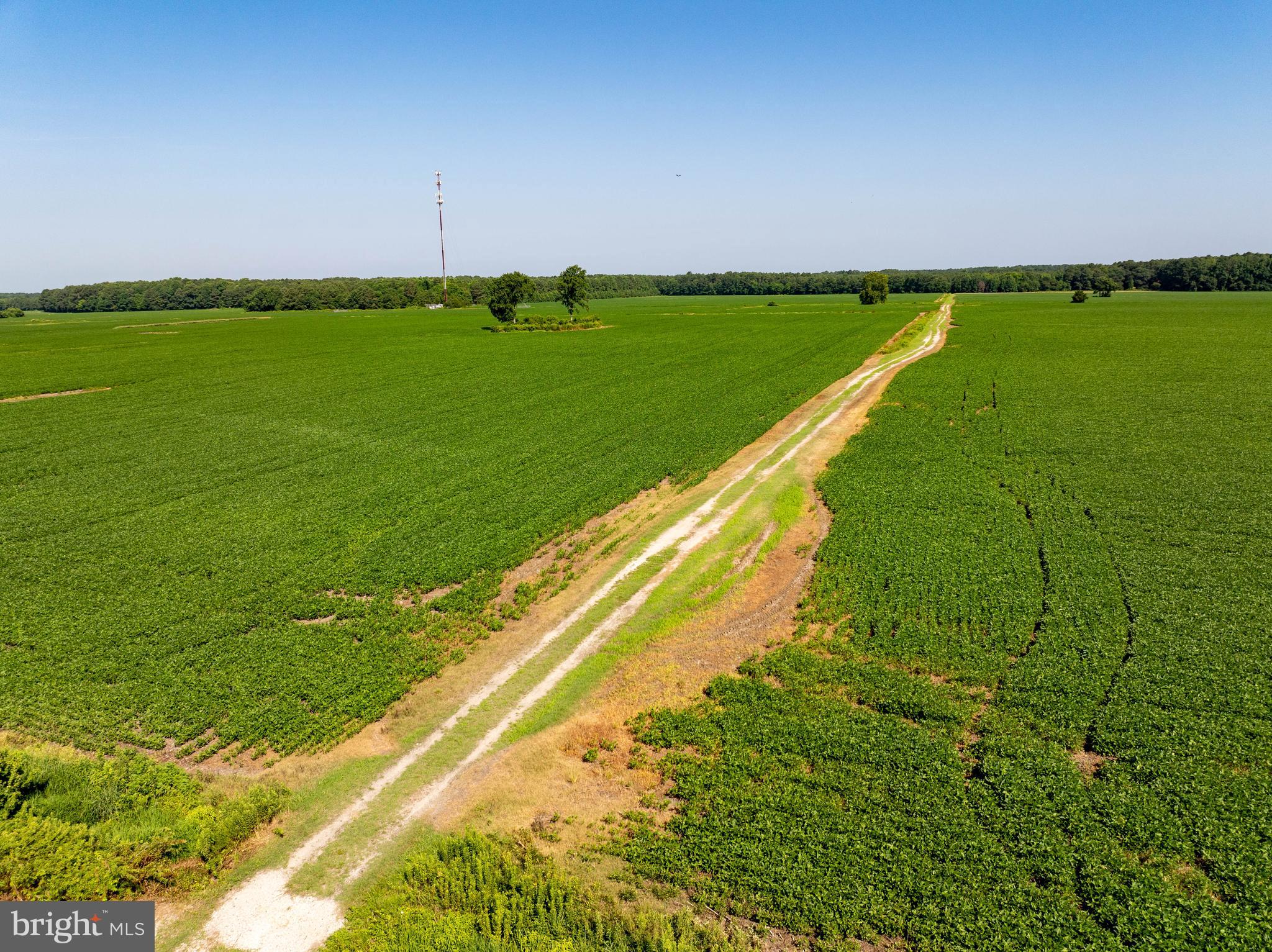 NONE AVAILABLE - Farm