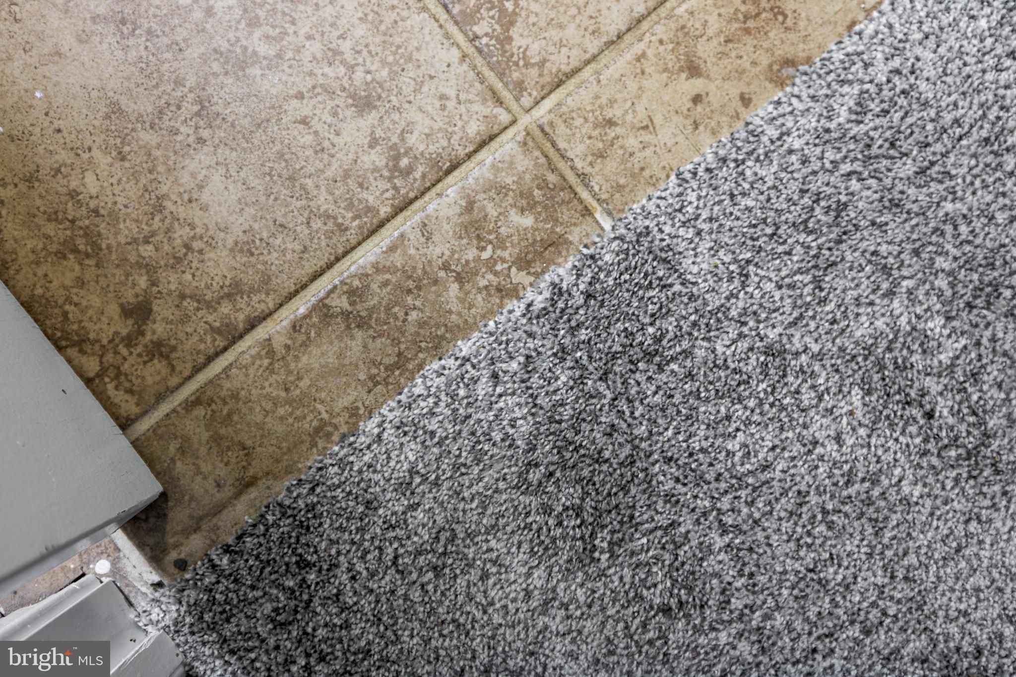 MASSANUTTEN - Residential