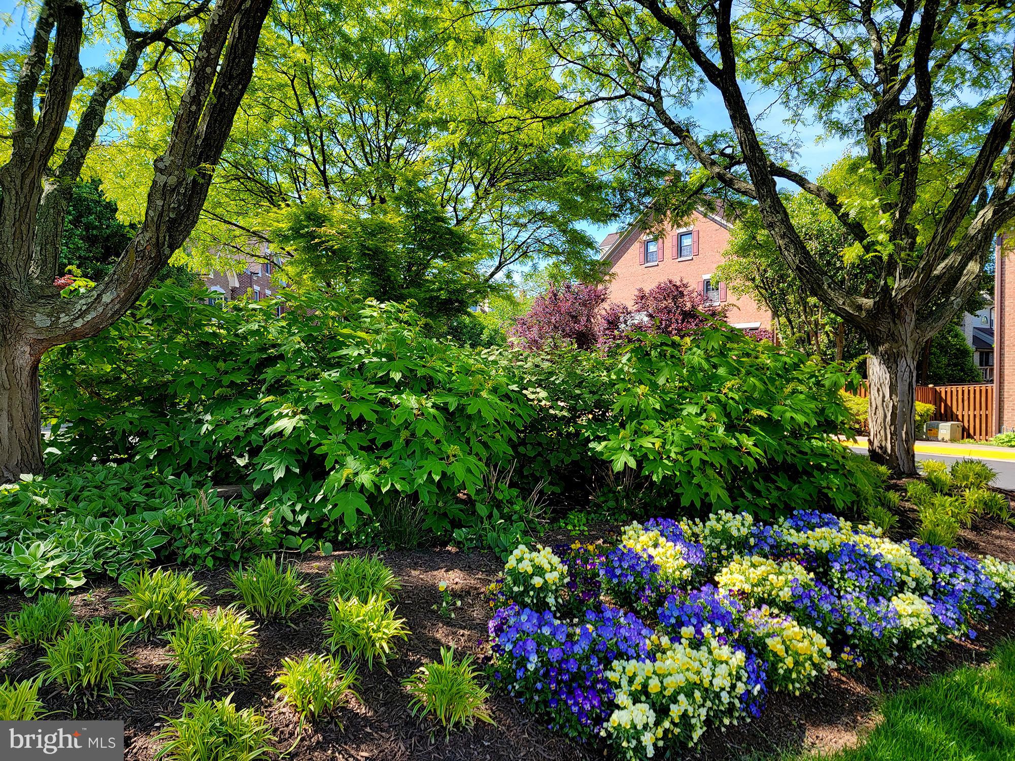 LANDMARK MEWS - Residential Lease