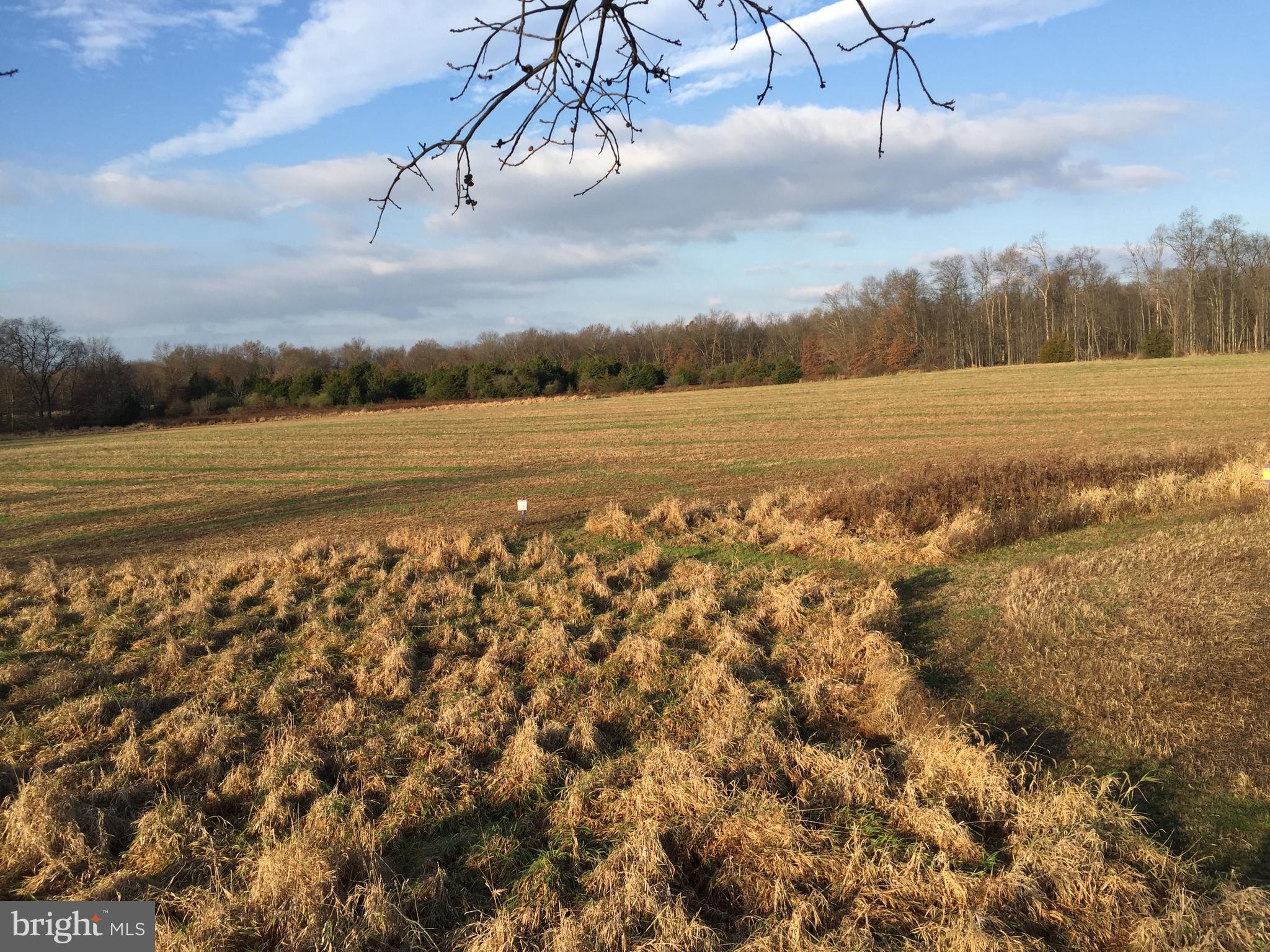 NONE, RURAL - Residential