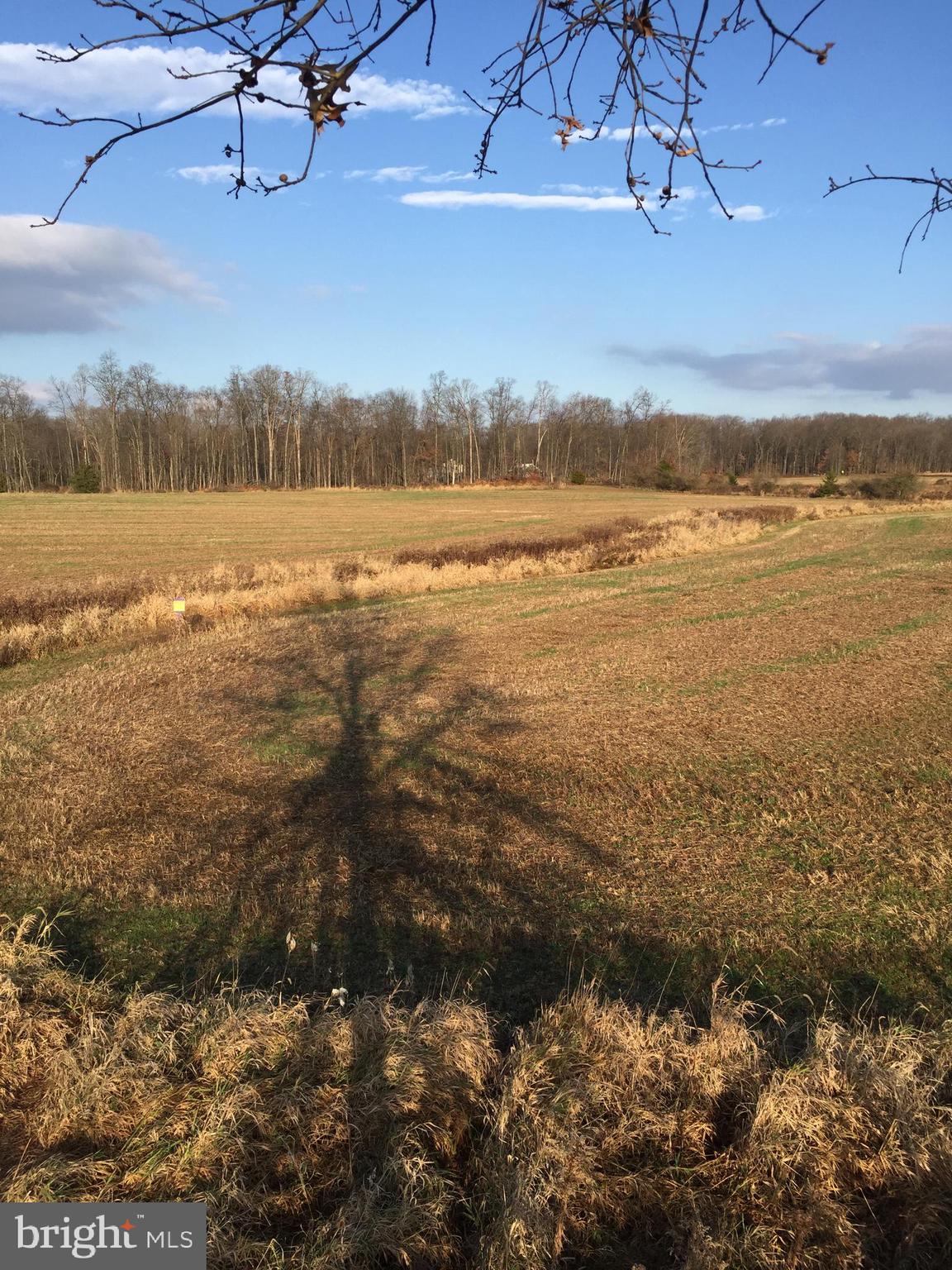 NONE, RURAL - Residential