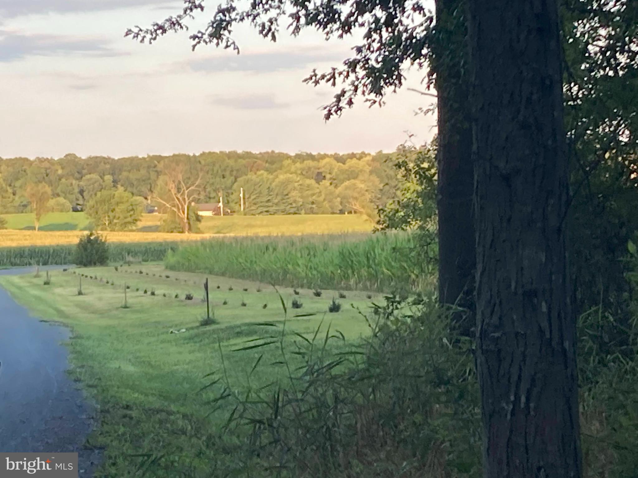 NONE, RURAL - Residential